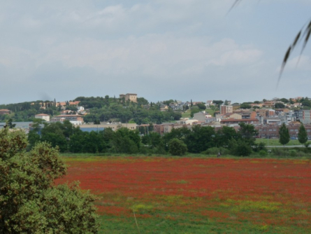 Vista del municipi, maig 2011