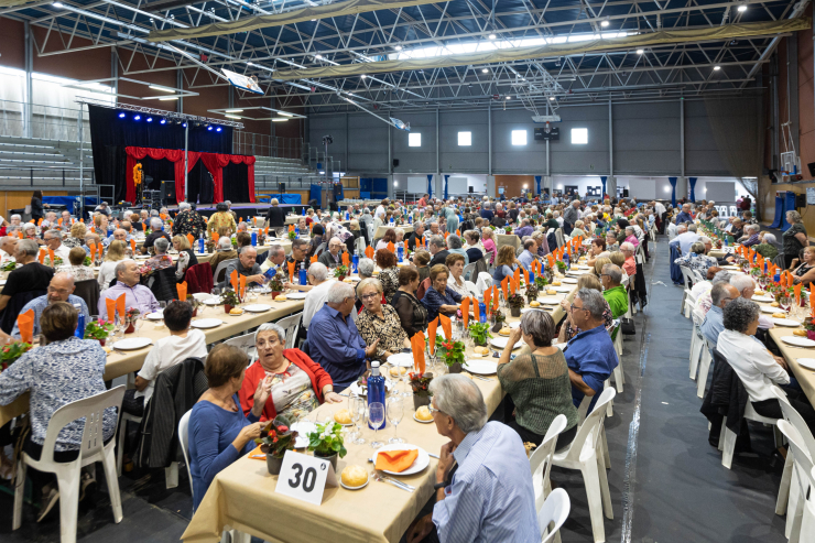 Festa de la Gent Gran