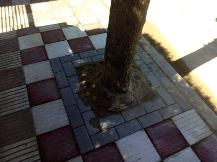 Obra acabada al C/ Arqute. Falguera