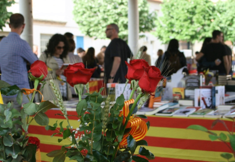 Imatge d'un Sant Jordi a Palau.jpg