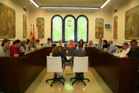 Ple municipal abril 2018