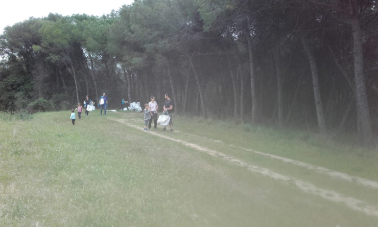Clean up day 2019