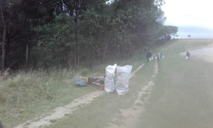 Clean up day 2019