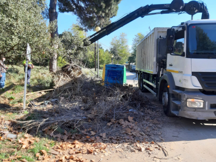 Recollida abocador il·legal de poda.