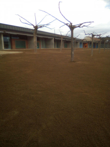 Obra acabada a l'escola Palau