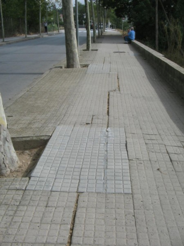 st oleguer 2