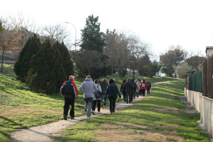 Caminades