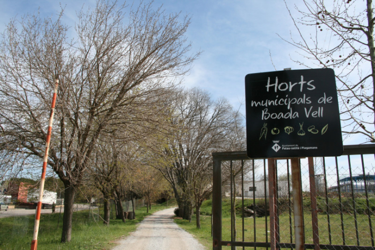 Horts municipals