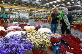 Mercat de les flors