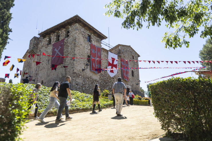 Mercat Medieval 079 © 2024 Miquel Monfort.jpg