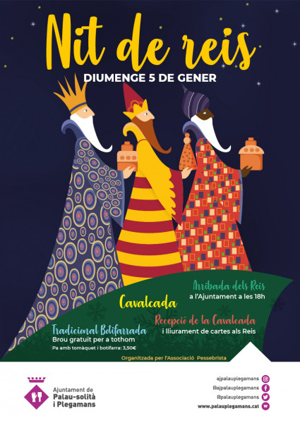 Nit de reis
