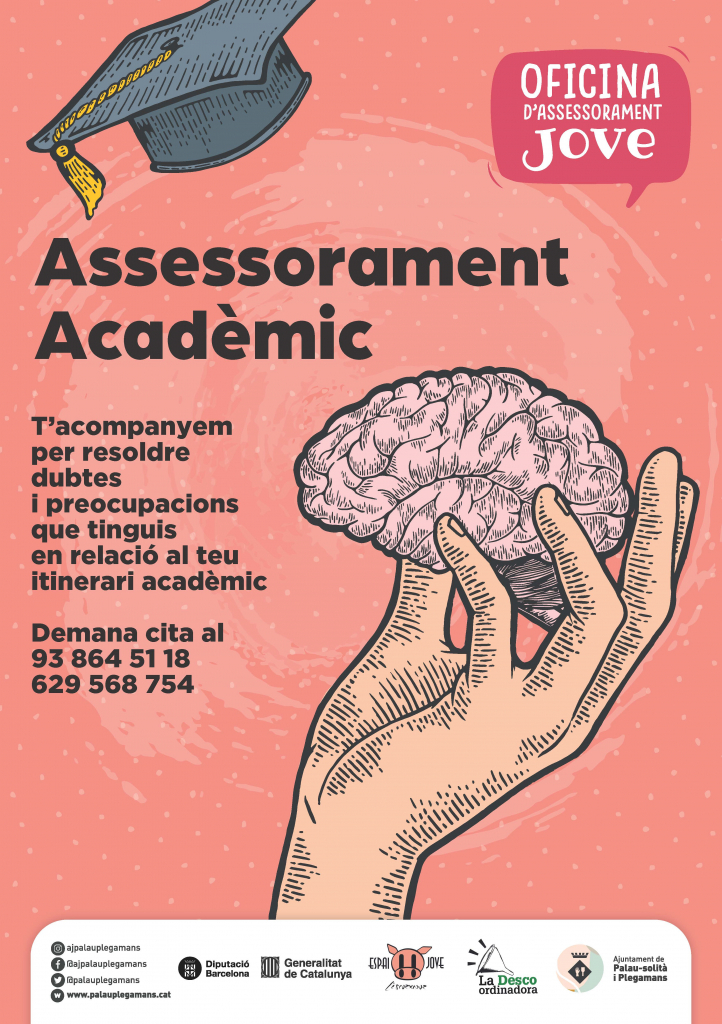 Assessorament Acadèmic