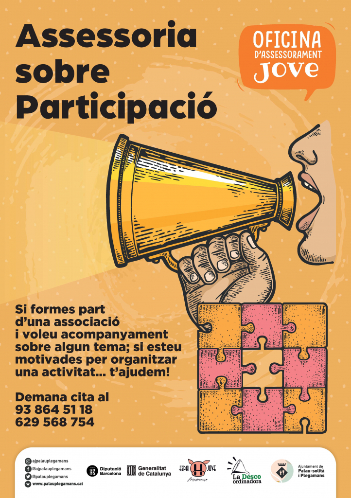 Assessoria sobre Participació