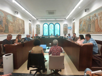 Ple maig 2025