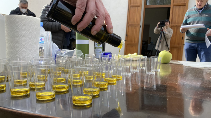 Tast de l'Oli de Vera del Vallès