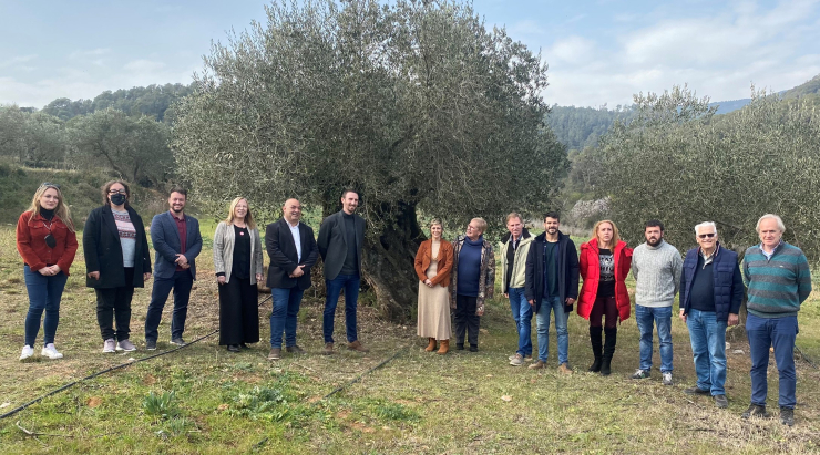 Constitució de la taula pel reconeixement de la DOP “Oli de Vera del Vallès
