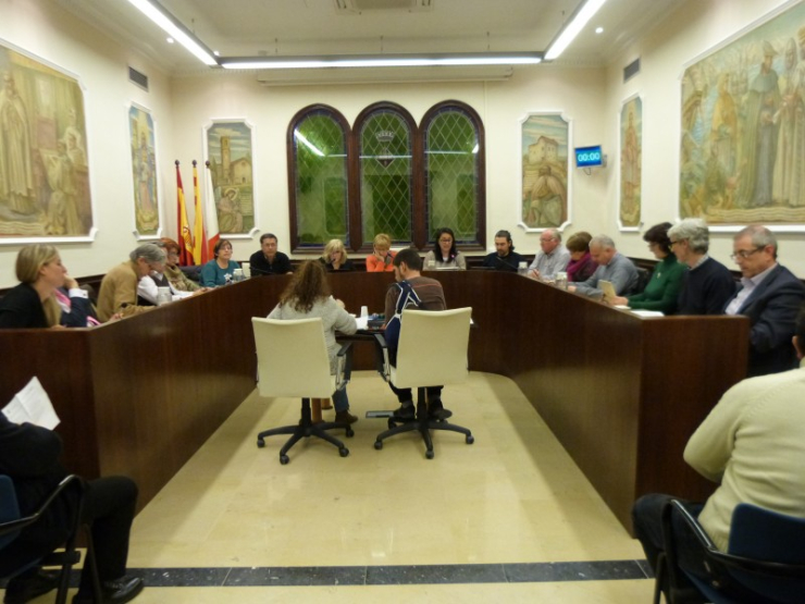Sessió plenària del mes de febrer
