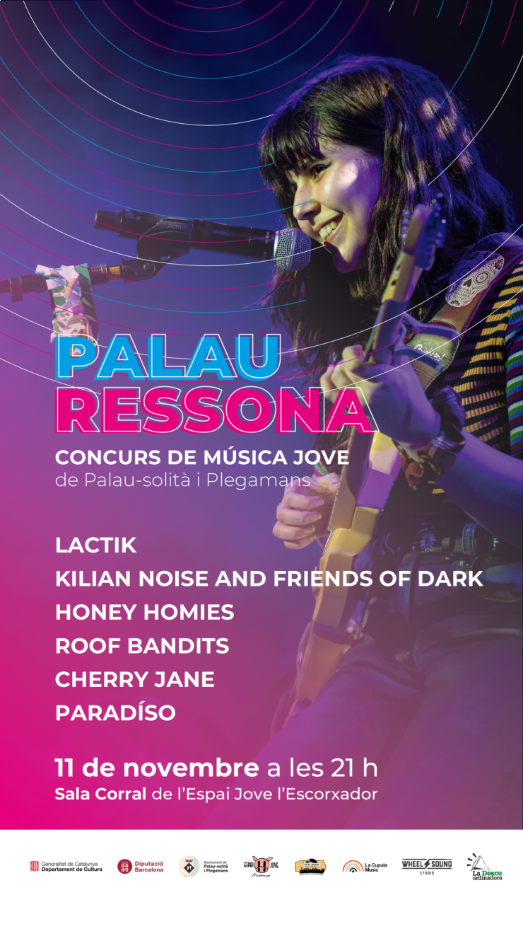 Cartell dela Final del Palau Ressona 2023