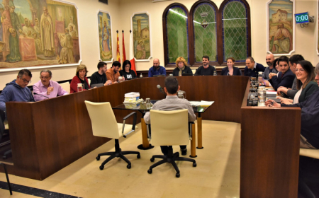 Ple municipal ordinari febrer 2020