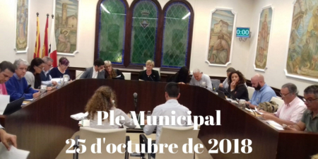 Resum del Ple Municipal del 25 d'octubre de 2018