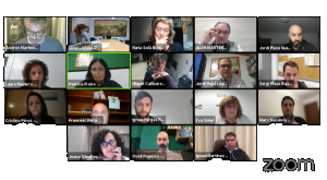 Ple virtual març 2021