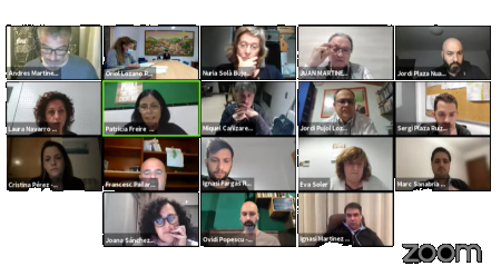 Ple virtual març 2021