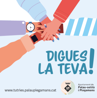 Pressupostos participatius 2020