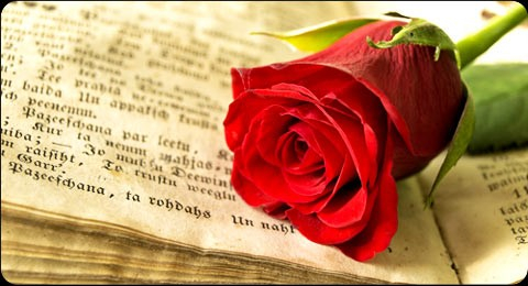 Sant Jordi 2015