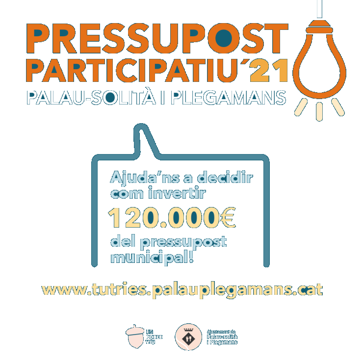 pressupost-participatiu-portada-instagram.png