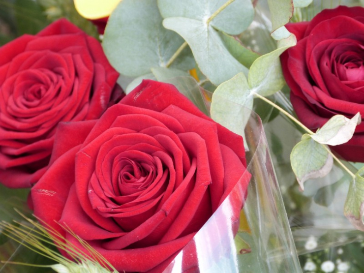Sant Jordi