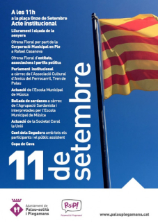 Cartell de la Diada 2017