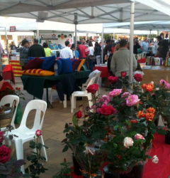 Foto Sant Jordi 2013