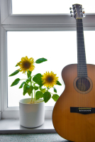 Guitarra al balcó.