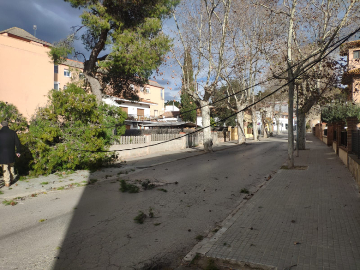 Temporal.Passeig de la Carrerada