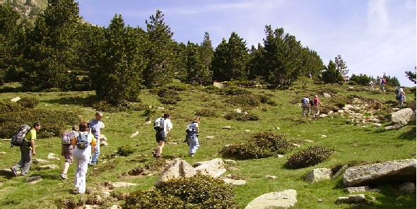 Excursió a Ulldeter 11 de juny de 2006