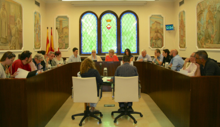 Sessió plenària del mes d'abril