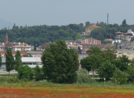 Foto Palau