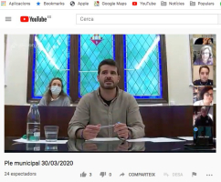 Imatge de la sessió plenaria per videoconferència del 30 de març