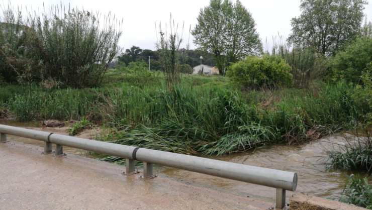 Neteja de guals i rieres.