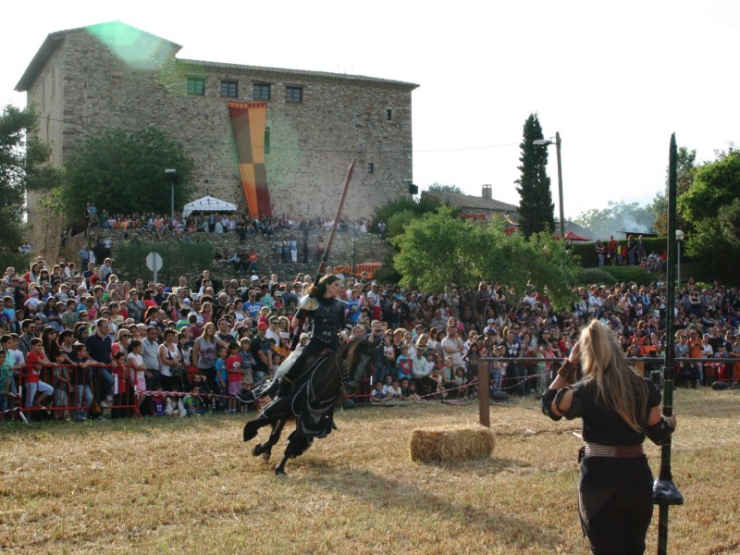 El Torneig Medieval amb cavalls de l'edició 2014 va ser un dels espectacles que més públic va atreure.