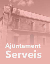 Ajuntament Serveis