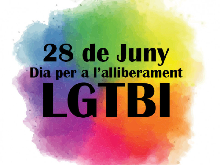 Dia per l'Alliberament LGTBI
