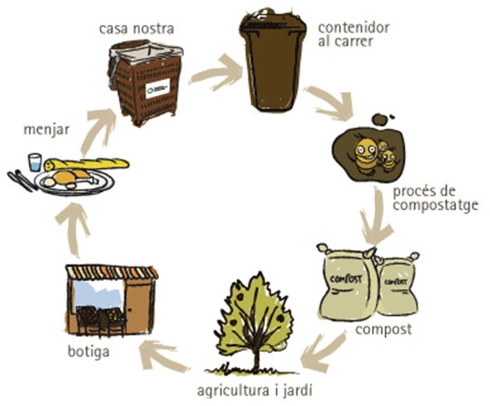 Cicle de la matèria orgànica