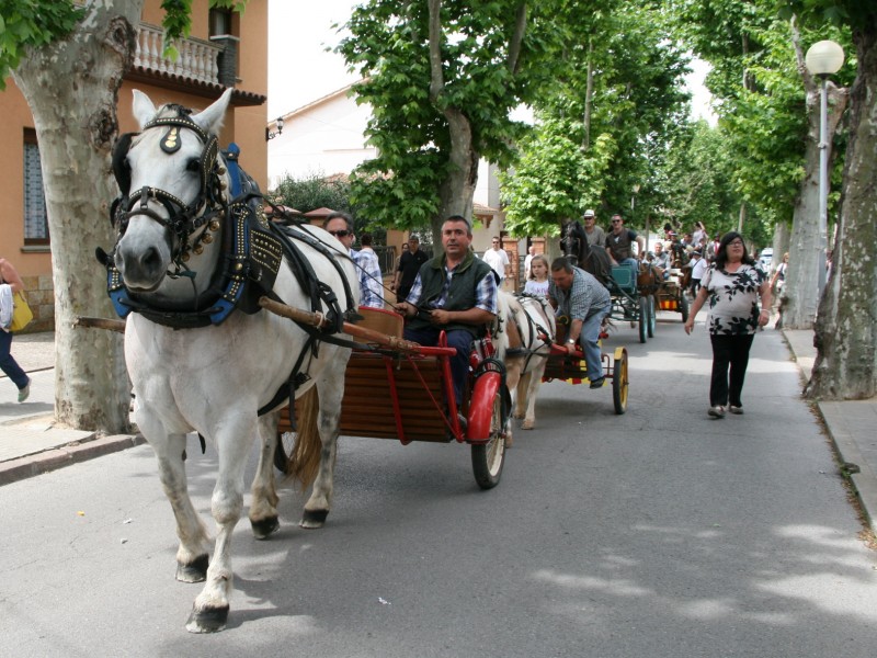 140519 santisidre rua carrosses cavalls carros