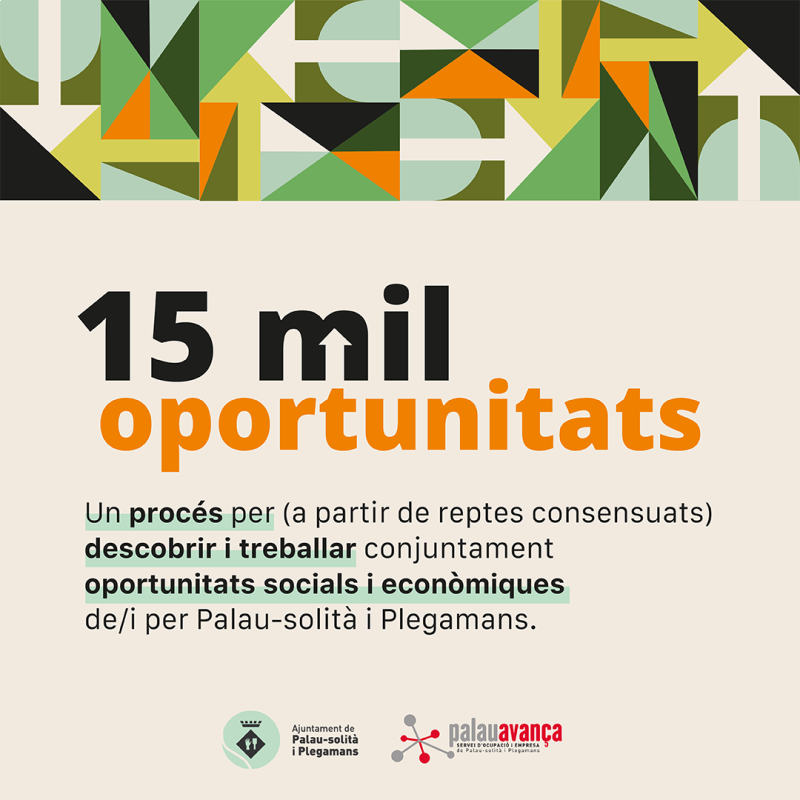Economia social i solidaria